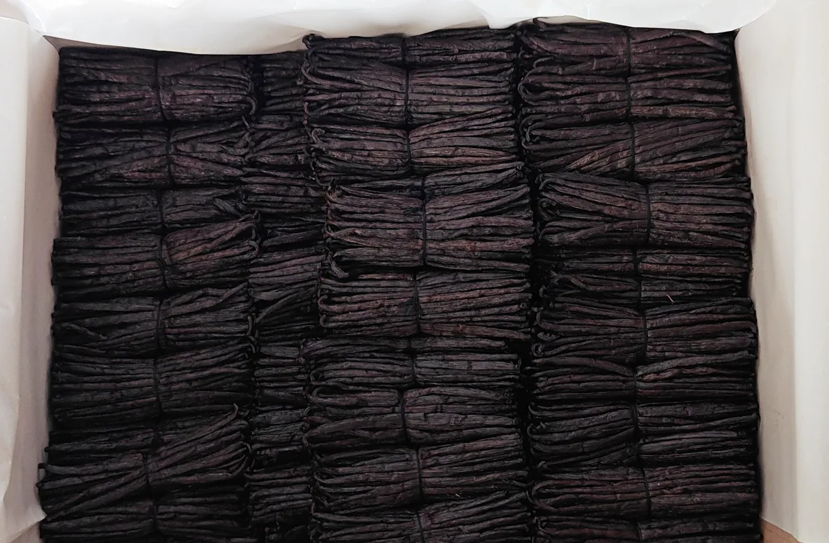 Bunch of TK Black Gourmet non-split vanilla pods, black and glossy, tied with raffia